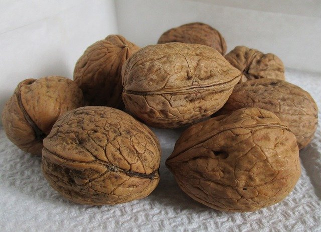 Free download Walnuts Shell Organic -  free photo or picture to be edited with GIMP online image editor