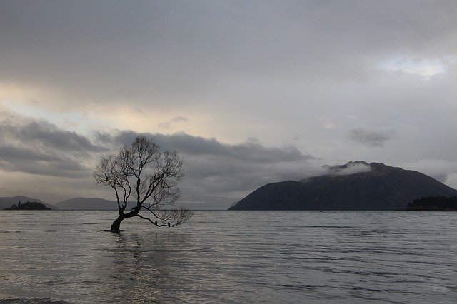 Unduh gratis Wanaka Tree Lake - foto atau gambar gratis untuk diedit dengan editor gambar online GIMP