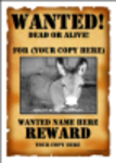 Free download Wanted Poster Template 1 DOC, XLS or PPT template free to be edited with LibreOffice online or OpenOffice Desktop online