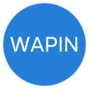 WAPIN  screen for extension Chrome web store in OffiDocs Chromium