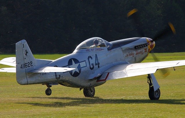 Template Photo Warbird Aircraft Mustang -  for OffiDocs