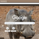 Warthog  screen for extension Chrome web store in OffiDocs Chromium