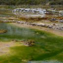 Water and green moss  screen for extension Chrome web store in OffiDocs Chromium