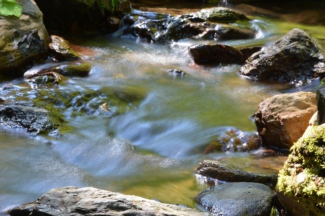 Безкоштовно завантажте Water Bach - безкоштовну фотографію чи зображення для редагування за допомогою онлайн-редактора зображень GIMP