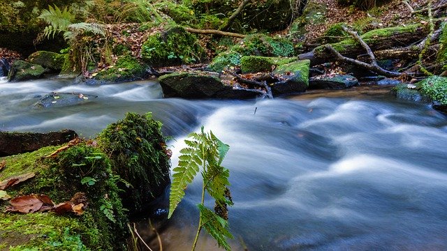 Download grátis Water Bach Nature - foto ou imagem gratuita para ser editada com o editor de imagens online GIMP