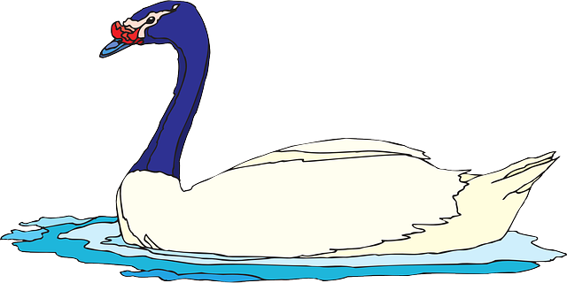 Free download Water Bird Swimming - Free vector graphic on Pixabay free illustration to be edited with GIMP free online image editor