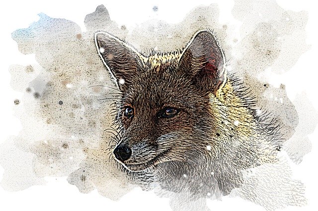 Free download Watercolor Drawing Painting -  free illustration to be edited with GIMP free online image editor