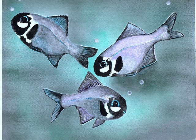 ດາວ​ໂຫຼດ​ຟຣີ Watercolor Bubbles Fish - ຟຣີ​ຮູບ​ພາບ​ຫຼື​ຮູບ​ພາບ​ທີ່​ຈະ​ໄດ້​ຮັບ​ການ​ແກ້​ໄຂ​ທີ່​ມີ GIMP ອອນ​ໄລ​ນ​໌​ບັນ​ນາ​ທິ​ການ​ຮູບ​ພາບ​