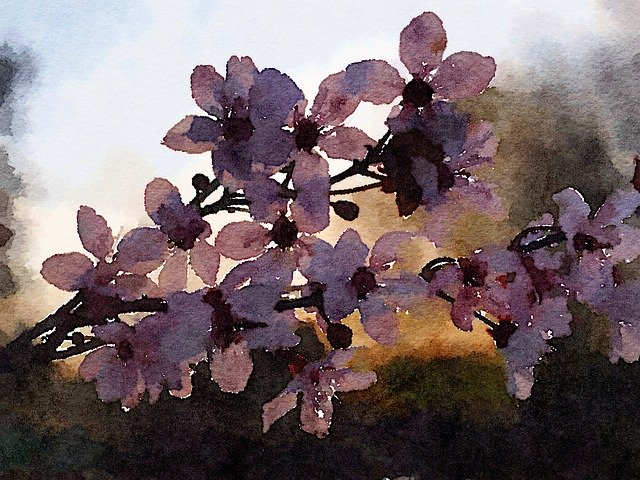 دانلود رایگان Watercolor Flower Bloom - تصویر رایگان برای ویرایش با ویرایشگر تصویر آنلاین رایگان GIMP