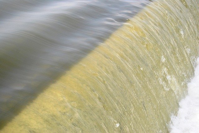 Free download water dam nature beauty animal free picture to be edited with GIMP free online image editor
