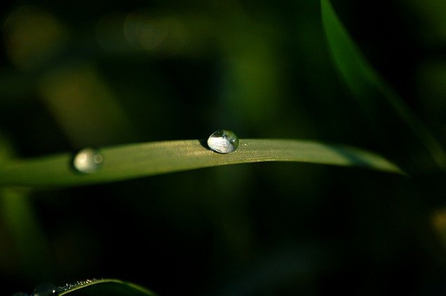 Free graphic water drop drops just add water to be edited by GIMP free image editor by OffiDocs