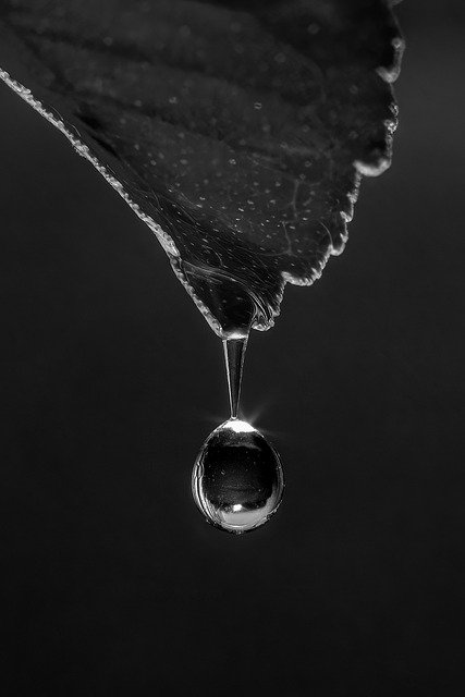 Free download water drop liquid closeup rain free picture to be edited with GIMP free online image editor