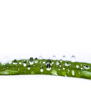 Water Drop on leaf  screen for extension Chrome web store in OffiDocs Chromium