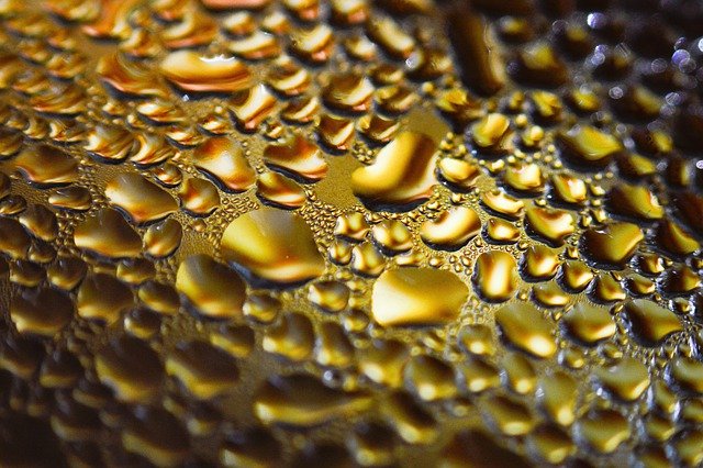Free download water drops liquid drops macro free picture to be edited with GIMP free online image editor