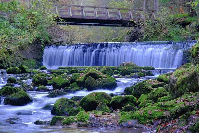 Free download waterfall bach bridge nature flow free picture to be edited with GIMP free online image editor