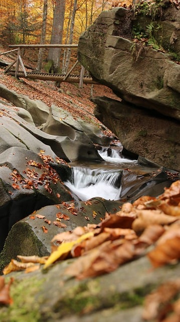 Free download waterfall bridge rocks autumn free picture to be edited with GIMP free online image editor