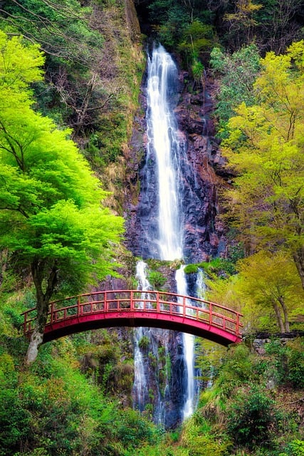 Free download waterfall bridge trees woods free picture to be edited with GIMP free online image editor