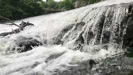 Free download Waterfall Forest Fish Water -  free video to be edited with OpenShot online video editor