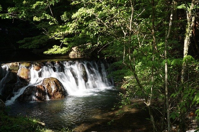 Téléchargement gratuit de Waterfall Forest Japan - photo ou image gratuite à éditer avec l'éditeur d'images en ligne GIMP