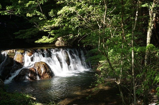 Free download Waterfall Forest Japan -  free photo or picture to be edited with GIMP online image editor