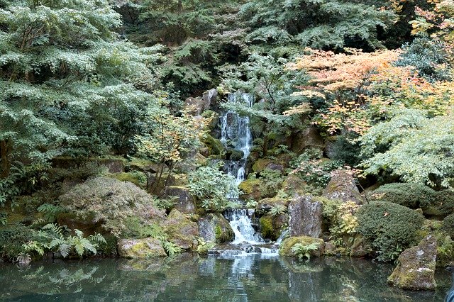 Скачать бесплатно Waterfall Green Nature - бесплатное фото или изображение для редактирования с помощью онлайн-редактора изображений GIMP