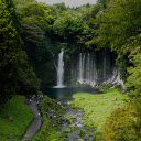 Waterfall in the middle of the forest  screen for extension Chrome web store in OffiDocs Chromium