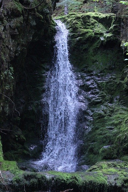 Descarga gratuita Waterfall Mountains Forest - foto o imagen gratuita para editar con el editor de imágenes en línea GIMP