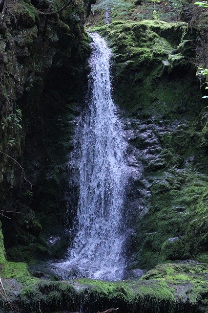 Unduh gratis Hutan Pegunungan Air Terjun - foto atau gambar gratis untuk diedit dengan editor gambar online GIMP