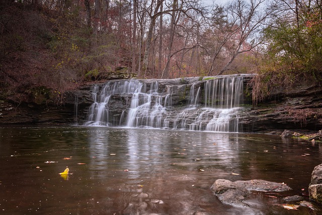 Free download waterfall nature forest trees free picture to be edited with GIMP free online image editor