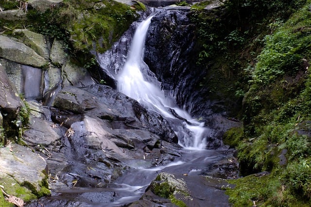 Free download waterfall nature water flow forest free picture to be edited with GIMP free online image editor