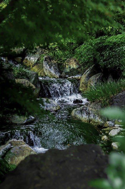 Free download Waterfall Park Natural -  free photo or picture to be edited with GIMP online image editor