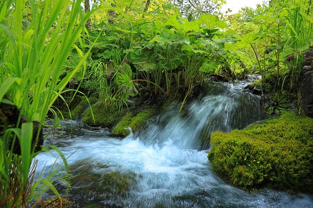 Free download Waterfall Plant Stones -  free photo or picture to be edited with GIMP online image editor