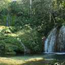 waterfalls and forests  screen for extension Chrome web store in OffiDocs Chromium