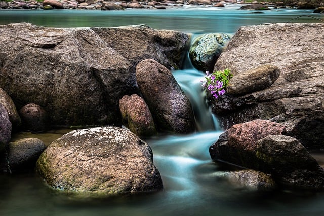 Free download waterfall stream rocks flowers free picture to be edited with GIMP free online image editor