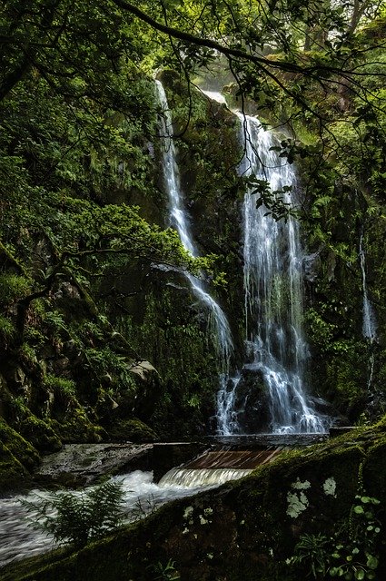 Gratis download Water Falls Woodland - gratis foto of afbeelding om te bewerken met GIMP online afbeeldingseditor