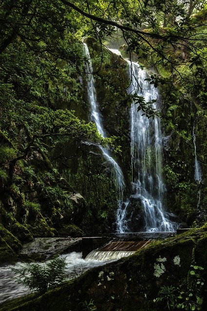 Muat turun percuma Water Falls Woodland - foto atau gambar percuma untuk diedit dengan editor imej dalam talian GIMP