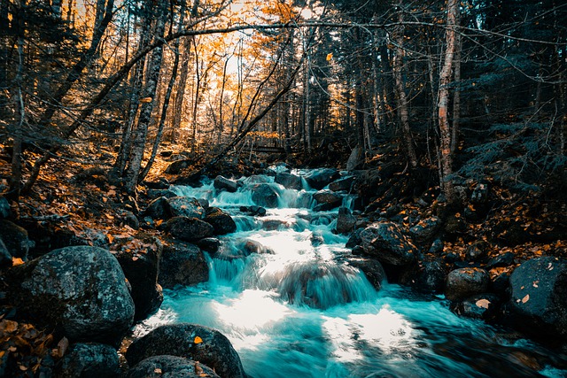 Free download waterfall trees forest autumn fall free picture to be edited with GIMP free online image editor