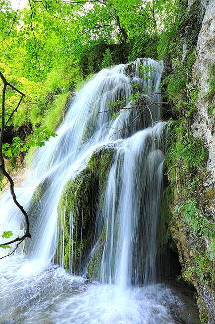 Free download Waterfall Trees Nature -  free photo or picture to be edited with GIMP online image editor