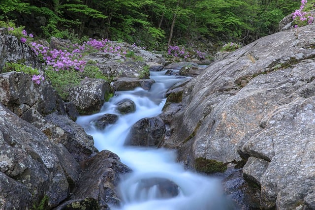 Free download waterfall valley flow rocks nature free picture to be edited with GIMP free online image editor