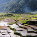 water fields  screen for extension Chrome web store in OffiDocs Chromium