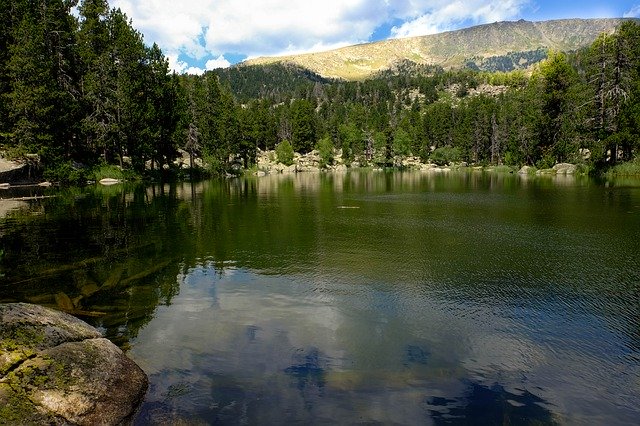 Kostenloser Download Water Forest Landscape - kostenloses Foto oder Bild, das mit dem GIMP-Online-Bildeditor bearbeitet werden kann