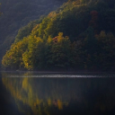 WATER FOREST THEME  screen for extension Chrome web store in OffiDocs Chromium