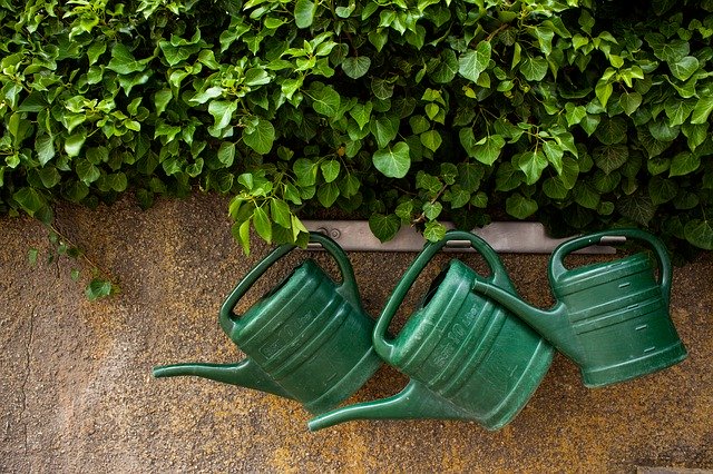 Free download Watering Can Garden Casting -  free photo or picture to be edited with GIMP online image editor