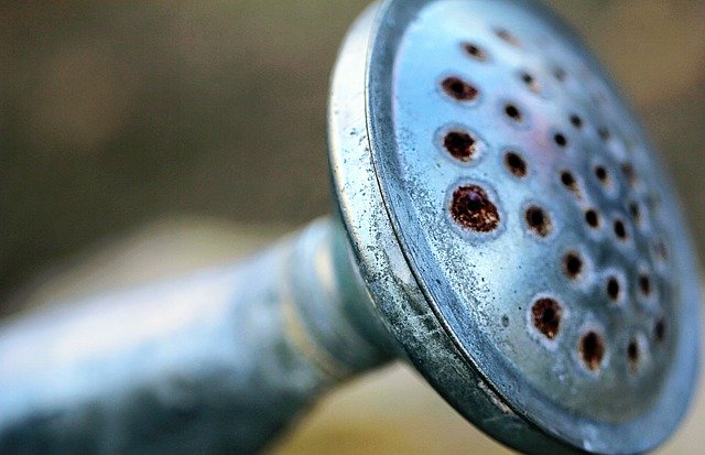 Free download Watering Can Metal Bucket -  free photo or picture to be edited with GIMP online image editor