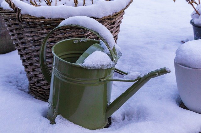 Template Photo Watering Can Snow Green for OffiDocs