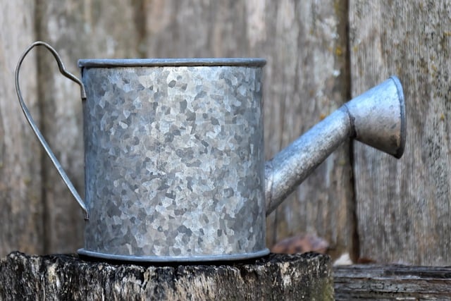 Free download watering can watering pot free picture to be edited with GIMP free online image editor