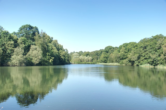 Free download water lake nature wood reflection free picture to be edited with GIMP free online image editor