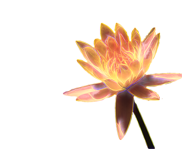 Free download Water Lily Digitally Enhanced -  free illustration to be edited with GIMP free online image editor