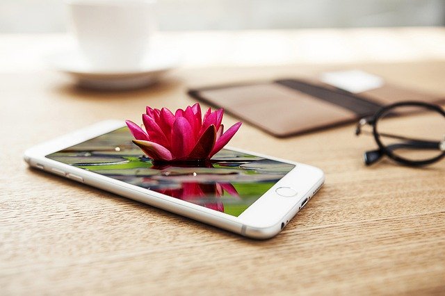 Descărcare gratuită Water Lily Mobile Phone Smartphone - fotografie sau imagine gratuită pentru a fi editată cu editorul de imagini online GIMP