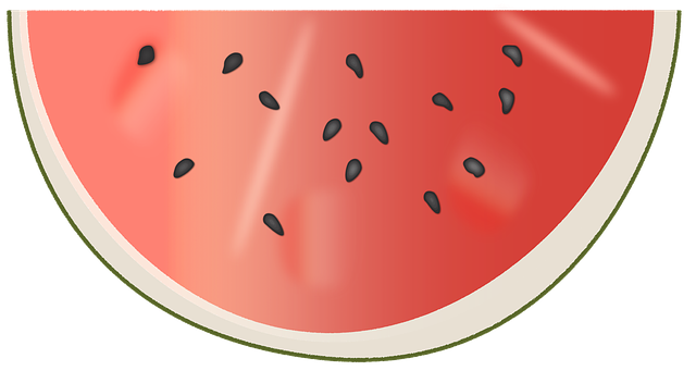 Free download Watermelon Disc Delicious -  free illustration to be edited with GIMP free online image editor